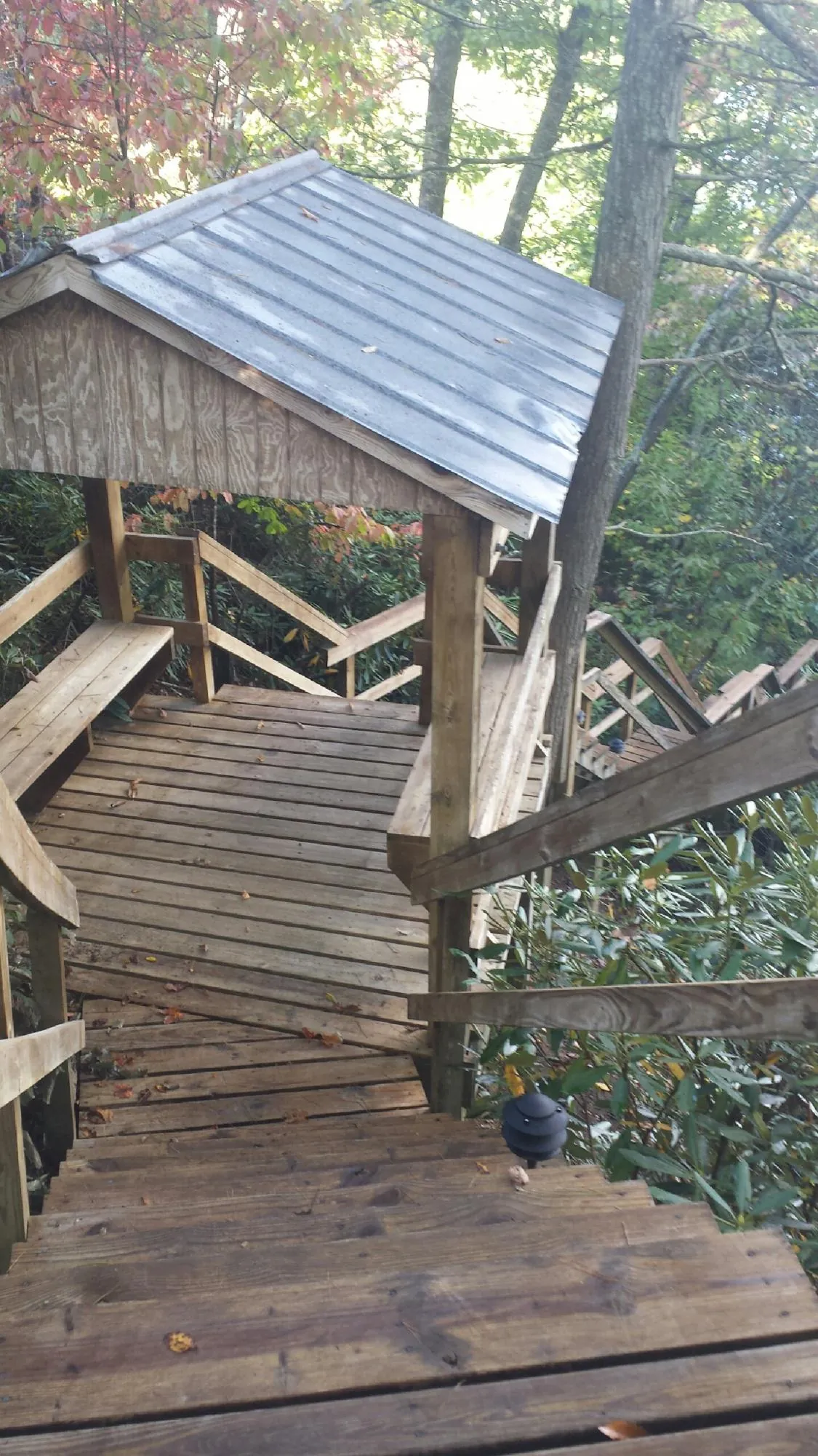 Metal roofed shelter over wooden steps on a wooded walkway — Skylight Repair & Installation work by our crew in Lakebay